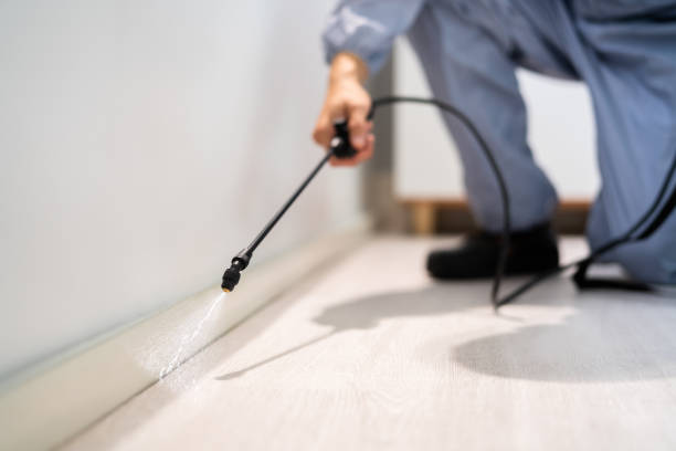 Licensed Termite Control service in Mukwonago, WI - Show Me Pest Control