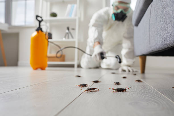 Post-Treatment Bed Bug Interceptor Monitoring in Mukwonago