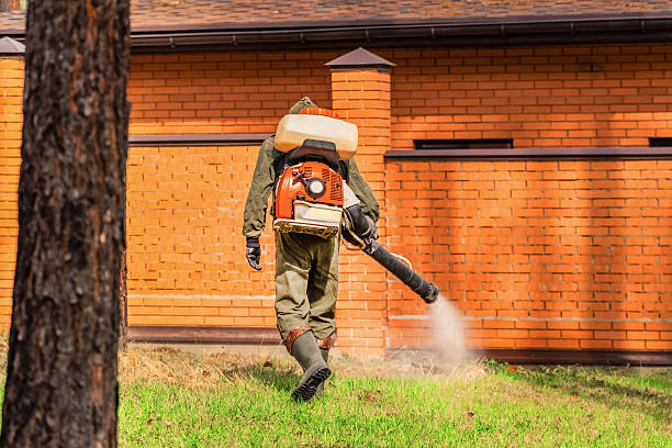 Bed Bug Clearance Verification and Documentation in Mukwonago